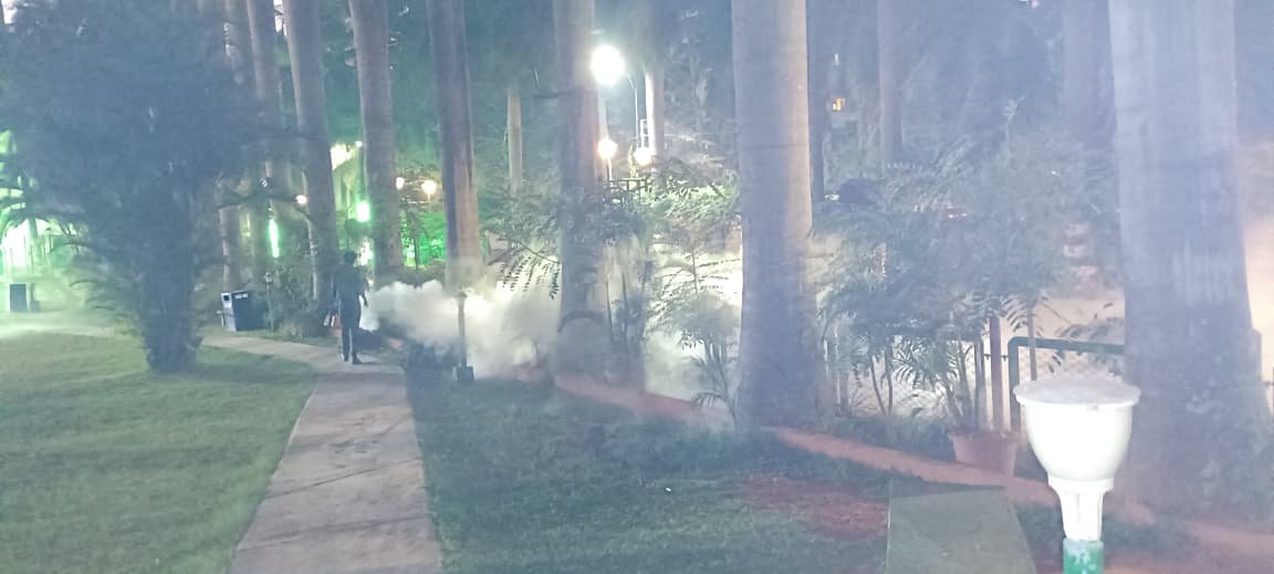 Perimeter pest control treatment along a garden pathway at night